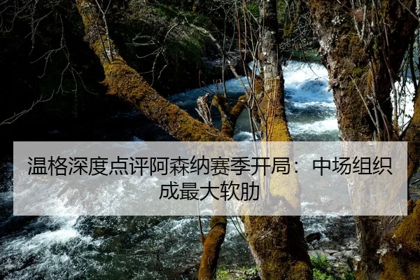 温格深度点评阿森纳赛季开局：中场组织成最大软肋