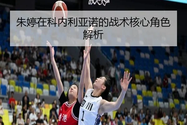 zhu-ting-zai-ke-nei-li-ya-nuo-de-zhan-shu-he-xin-jue-se-jie-xi-3-239.jpg