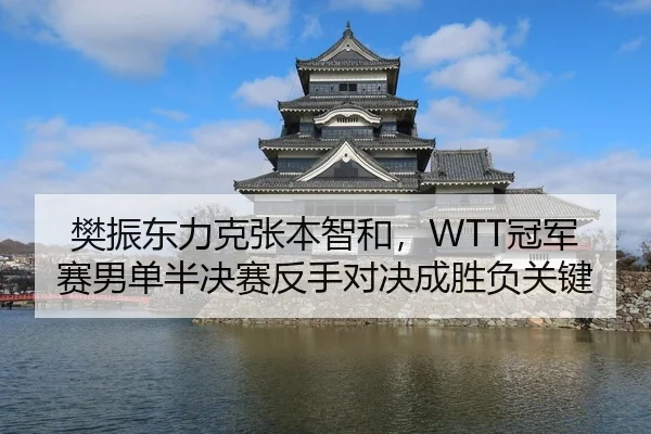 樊振东力克张本智和，WTT冠军赛男单半决赛反手对决成胜负关键