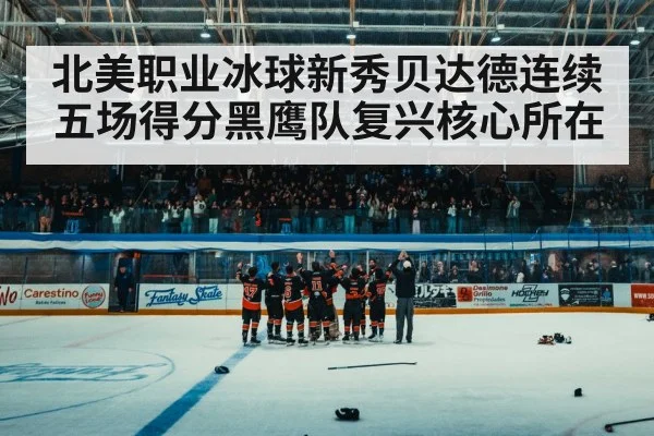北美职业冰球新秀贝达德连续五场得分黑鹰队复兴核心所在
